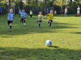 Mini Toernooitje op Sportpark Het Springer met S.K.N.W.K. JO7 en De Jonge Spartaan JO7 (163/174)